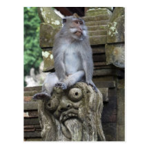 Monkey sitting at a statue in Bali Postcards