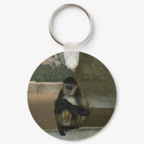 monkey sitting pretty keychains by jdspenguins monkey sitting pretty keychains