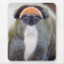 Monkey Stare Mousepad