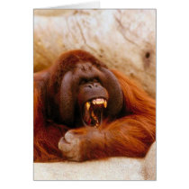 Monkey yelling cards
