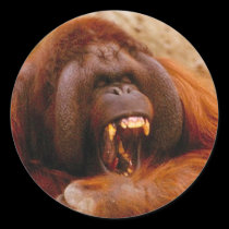 Monkey yelling sticker stickers