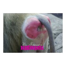monkeybutt, No...I meant a , REDNECK posters