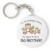 monkeying around key chain
