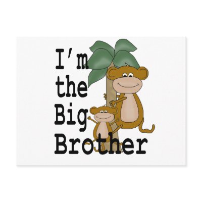 Monkeys Big Brother Postcard by ifbabycouldtalk