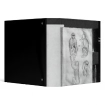 Monkeys, from The Vallardi Album Vinyl Binders