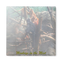 Monkeys in the Mist Magnet