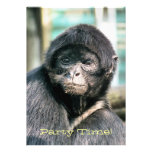 MONKEYS PERSONALIZED ANNOUNCEMENTS
