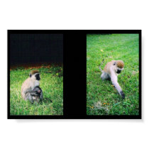 Monkeys posters by RKulat Monkeys posters