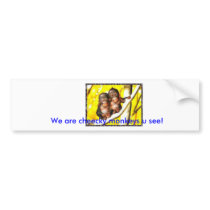 monkeys, We are cheecky monkeys u... bumper stickers by mary_is_the_best monkeys, We are cheecky monkeys u... bumper stickers