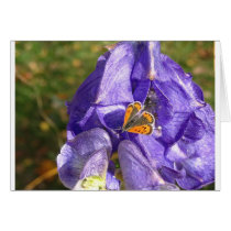 Monkshood cards by Dawnzee Monkshood cards