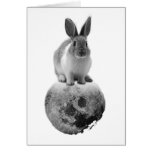 mono Fly me to the moon Cards