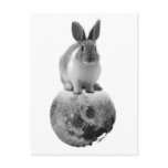 mono Fly me to the moon Postcards