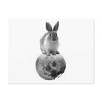mono Fly me to the moon Post Cards