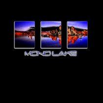 mono lake t-shirts
