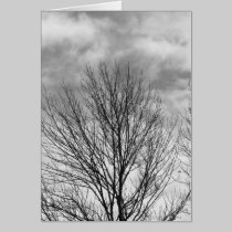 Monochrome Tree Top cards