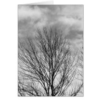 Monochrome Tree Top cards