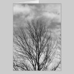 Monochrome Tree Top cards
