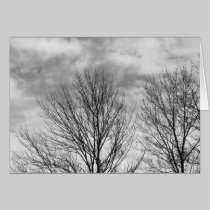 Monochrome Tree Top cards