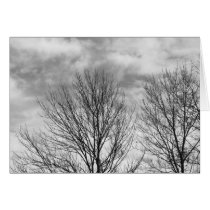 Monochrome Tree Top cards