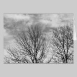 Monochrome Tree Top cards