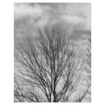 Monochrome Tree Top flyers