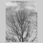 Monochrome Tree Top flyers