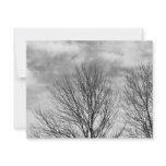 Monochrome Tree Top Personalized Announcement