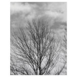 Monochrome Tree Top letterhead