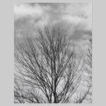 Monochrome Tree Top letterhead