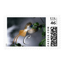 Monogram Birds 275 Letter C postage