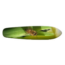 Monopatín de la abeja de la flor blanca