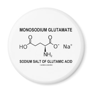 Monosodium Glutamate Sodium Salt Of Glutamic Acid magnet