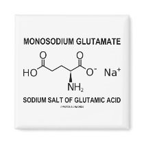 Monosodium Glutamate Sodium Salt Of Glutamic Acid Refrigerator Magnet