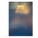 Monsoon, Pronghorn Ranch Arizona posters