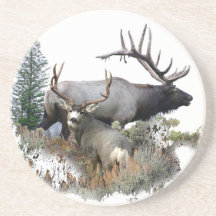 Monster bull trophy buck beverage coasters