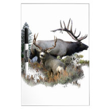 Monster bull trophy buck Dry-Erase whiteboard