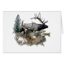 Monster bull trophy buck greeting cards