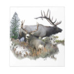 Monster bull trophy buck memo pads