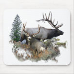 Monster bull trophy buck mouse pads