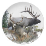 Monster bull trophy buck plates