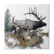 Monster bull trophy buck tile