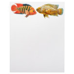 Monster Cichlids Fish Letterhead