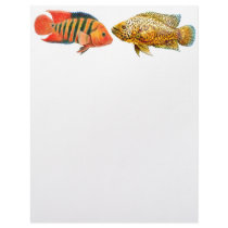 Monster Cichlids Fish Letterhead by twopurringcats Monster Cichlids Fish Letterhead