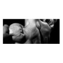 Monster Delts Poster posters
