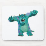 Monster Inc. Sulley scary Disney Mouse Pads