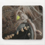 Monster Mouse Pad