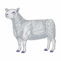 Montadale Sheep