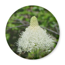 Montana Beargrass magnets by TenLakesRealty Montana Beargrass magnets