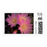 "Montana Bitterroot" Floral Stamps