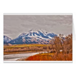 montana card